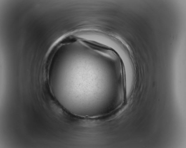 X0000085291069200703301933