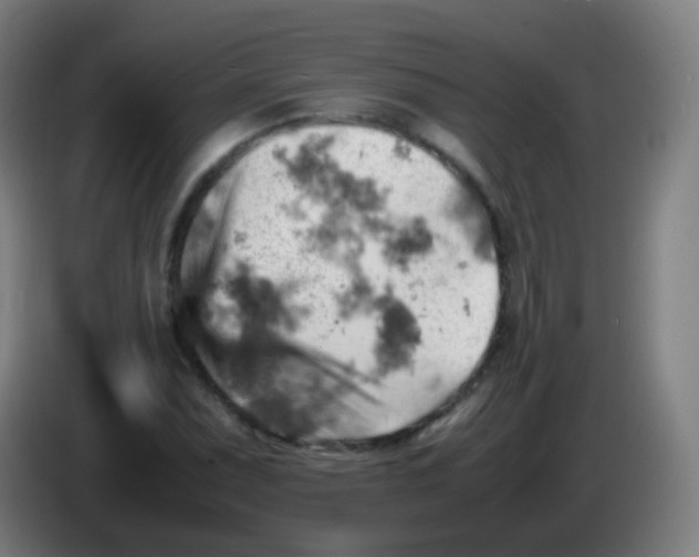 X0000085291071200703301933