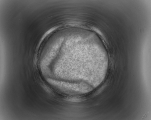 X0000085291074200703301933