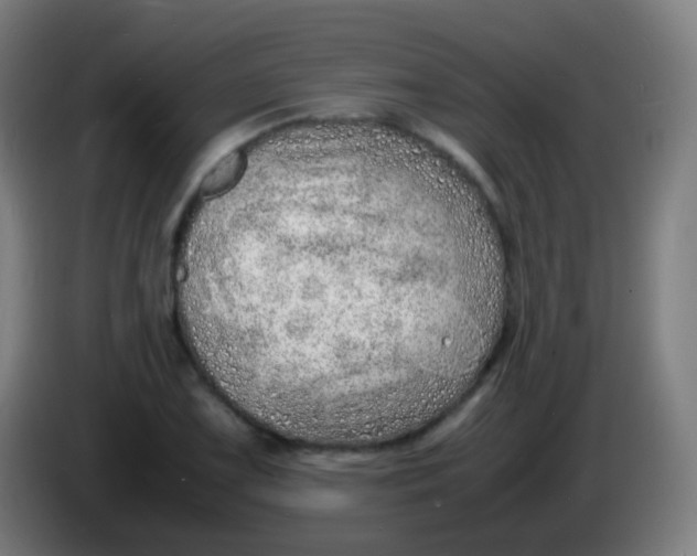 X0000085291075200703301933