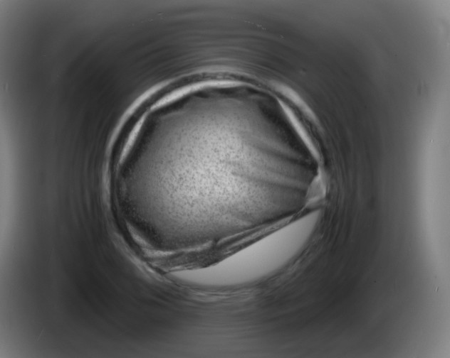 X0000085291076200703301933