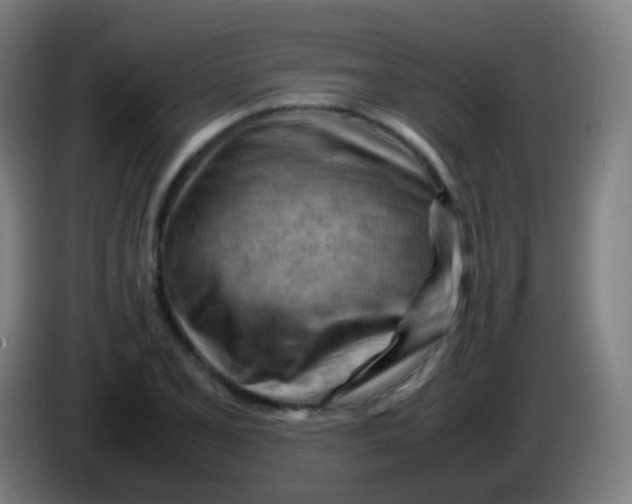 X0000085291077200703301933
