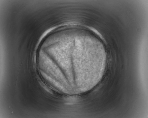 X0000085291078200703301933