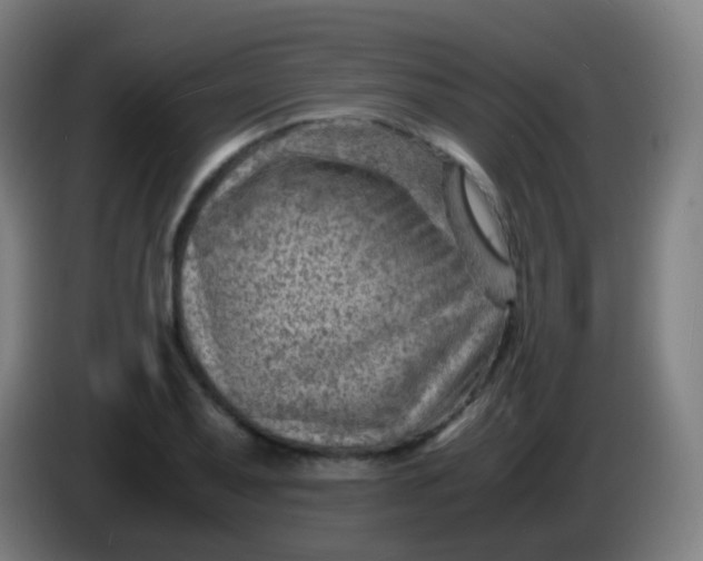 X0000085291079200703301933