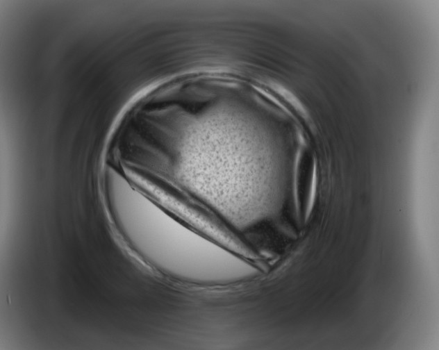 X0000085291080200703301933