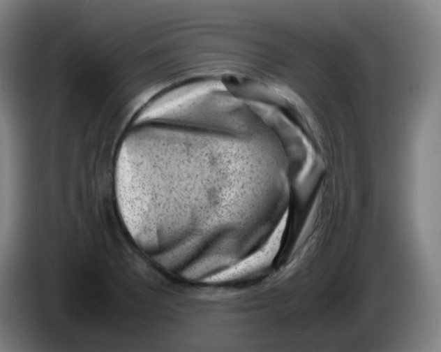 X0000085291081200703301933