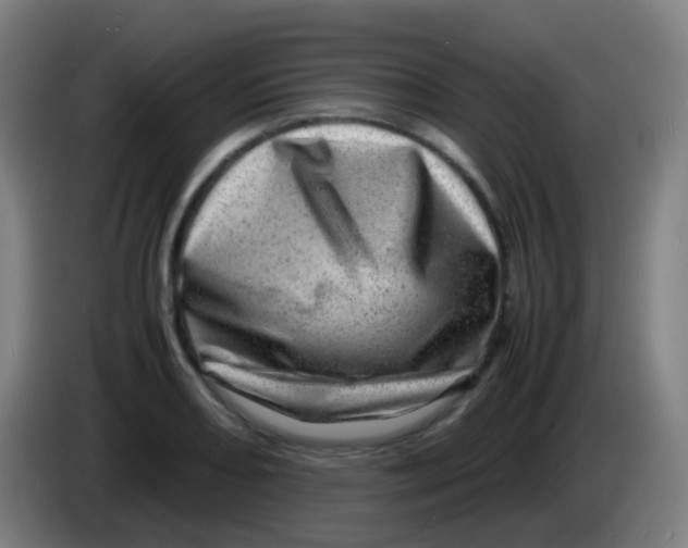 X0000085291082200703301933