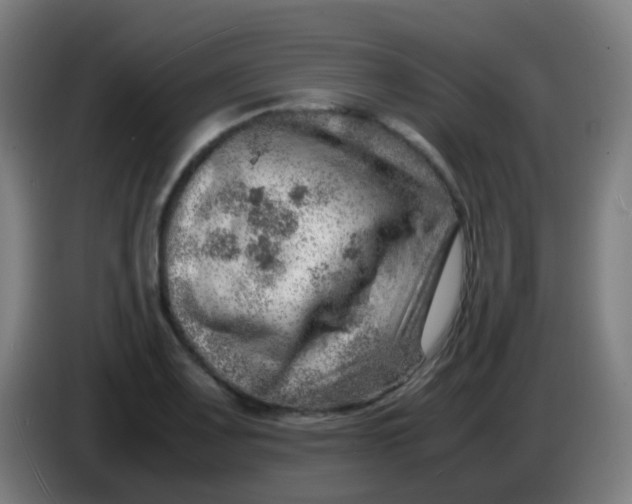 X0000085291083200703301933