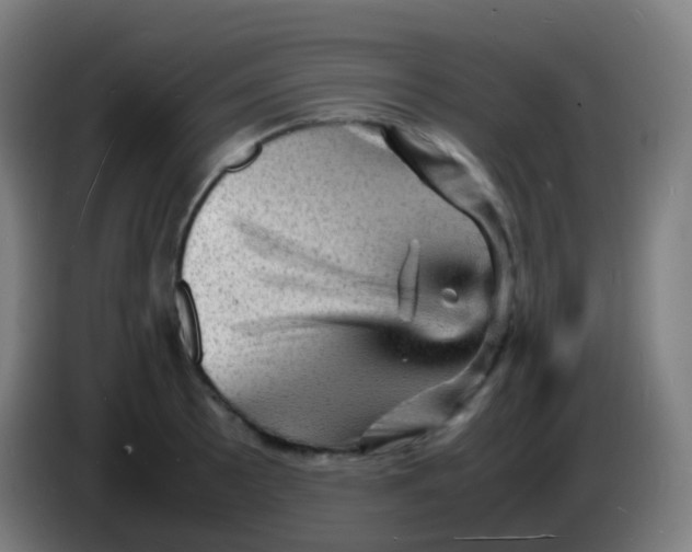 X0000085291089200703301932