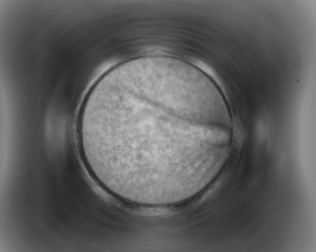 X0000085291090200703301932