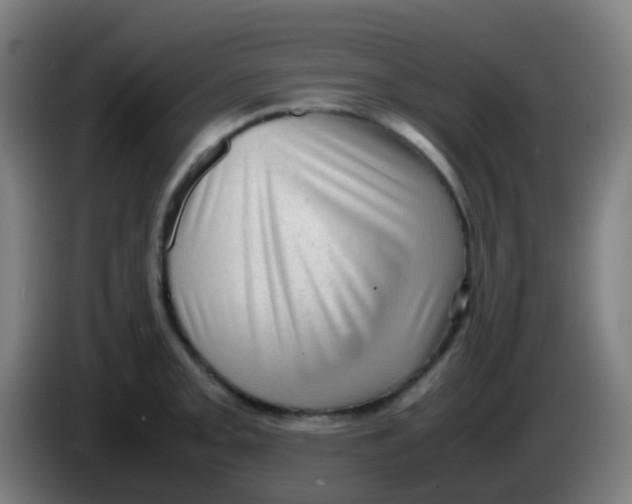 X0000085291093200703301932