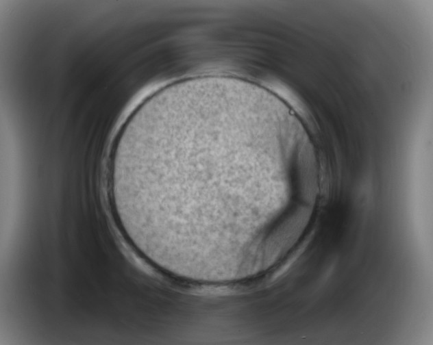 X0000085291094200703301932