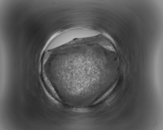 X0000085291095200703301932