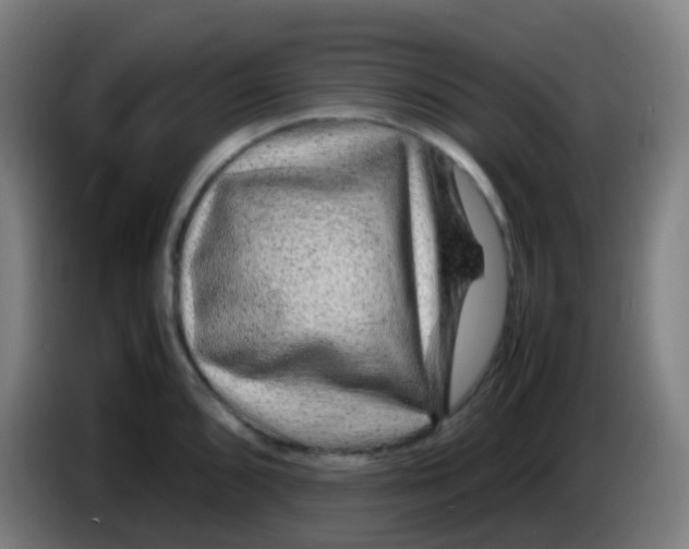 X0000085291096200703301932