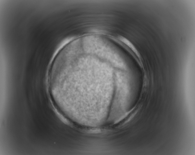 X0000085291098200703301932
