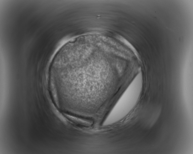 X0000085291099200703301932