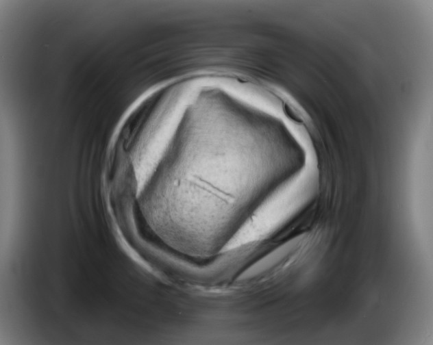 X0000085291100200703301932