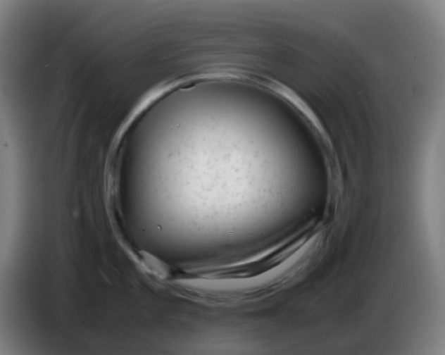 X0000085291101200703301932