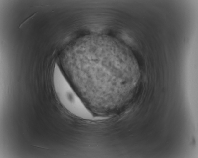 X0000085291106200703301932
