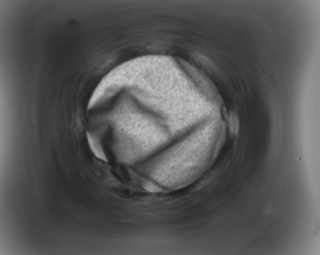 X0000085291107200703301932