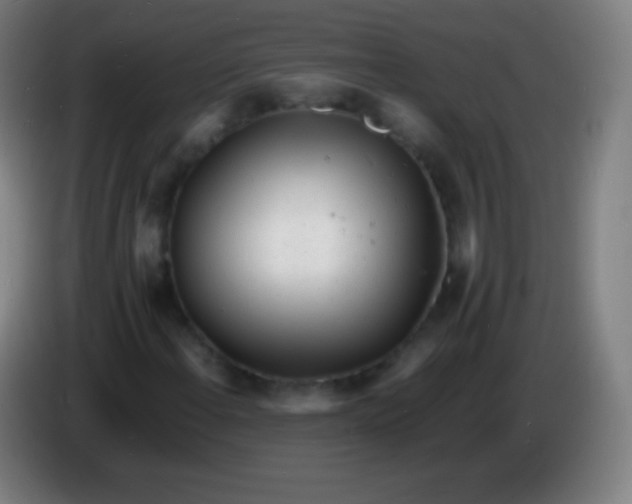 X0000085291108200703301932