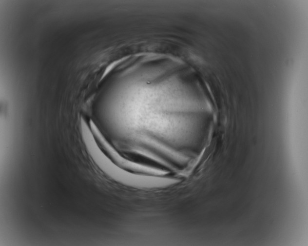 X0000085291109200703301932