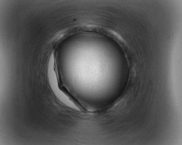 X0000085291110200703301932