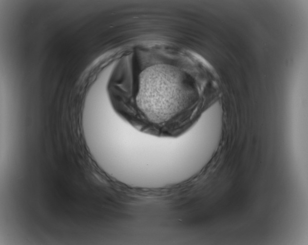 X0000085291112200703301932