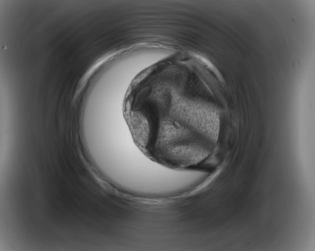 X0000085291114200703301932