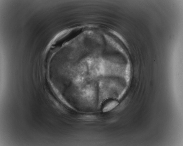 X0000085291115200703301932