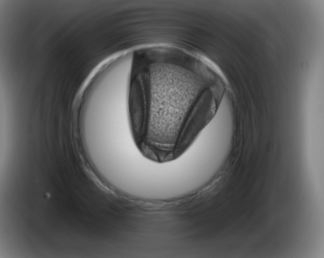 X0000085291116200703301932