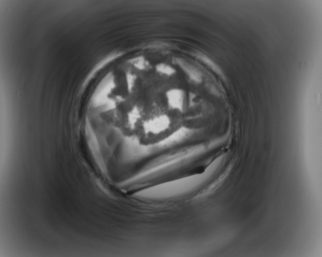 X0000085291117200703301932
