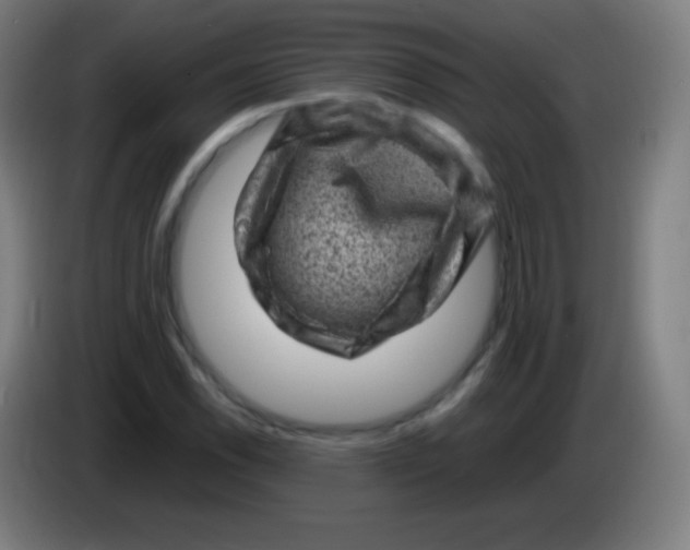 X0000085291118200703301932