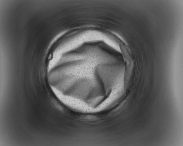 X0000085291119200703301932
