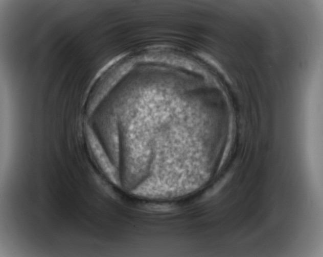 X0000085291121200703301932