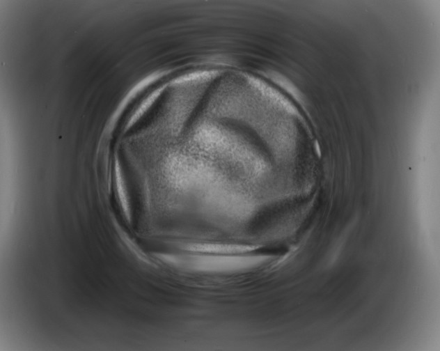 X0000085291123200703301932