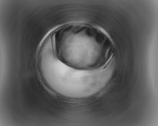 X0000085291124200703301932