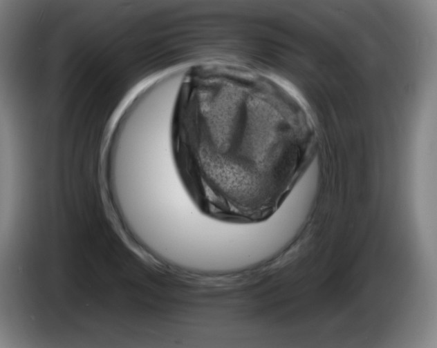 X0000085291128200703301932