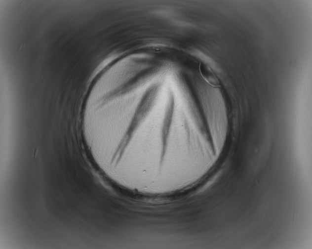 X0000085291129200703301932