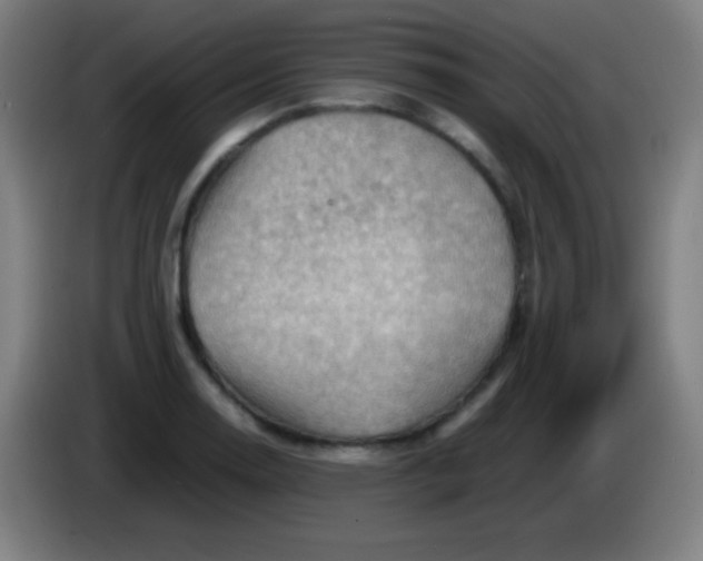 X0000085291130200703301932