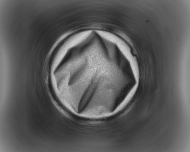 X0000085291131200703301932