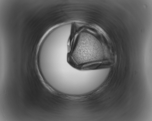 X0000085291132200703301932