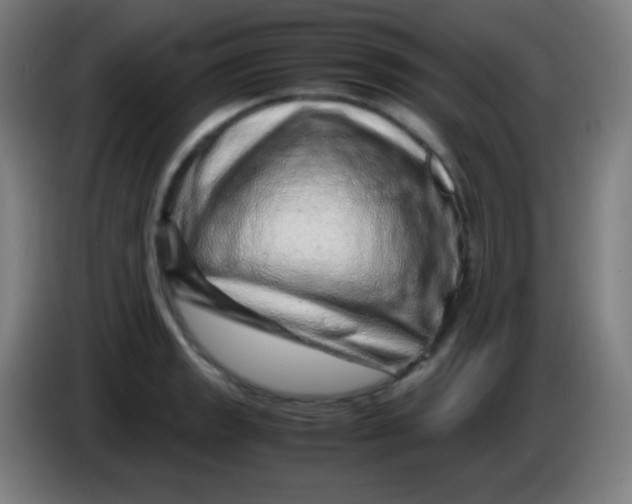 X0000085291133200703301932