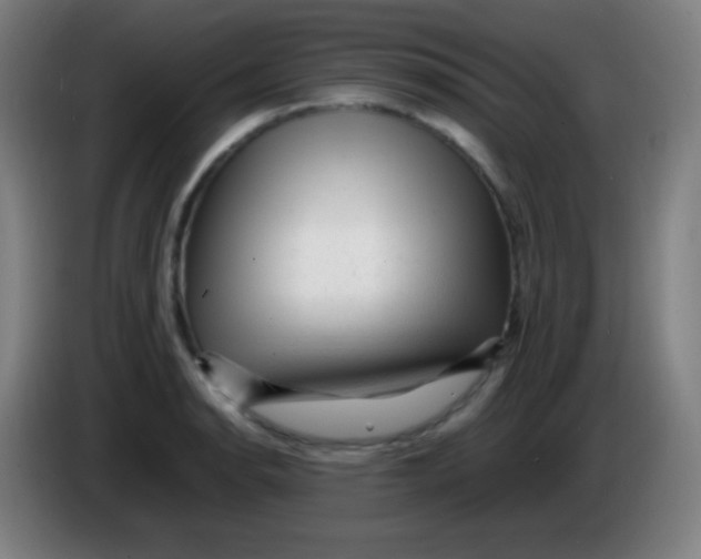 X0000085291134200703301932