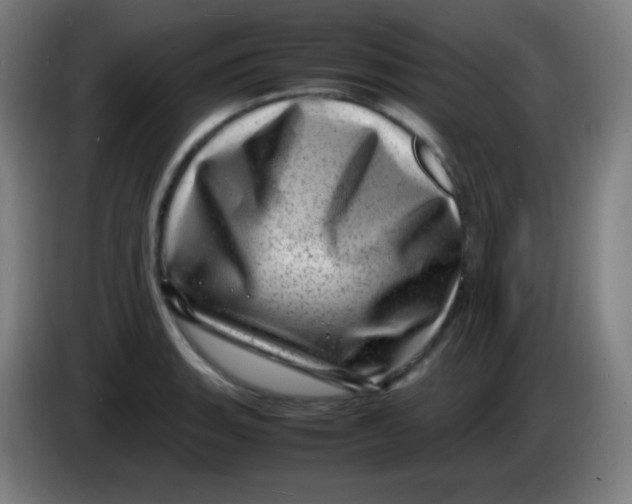 X0000085291135200703301932