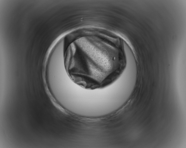 X0000085291136200703301932