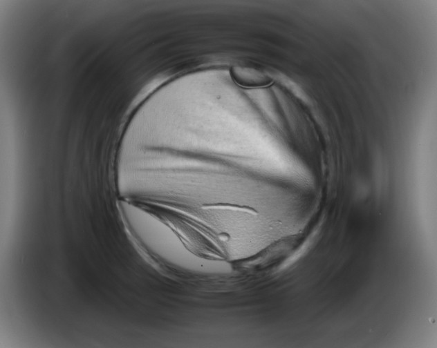 X0000085291137200703301932