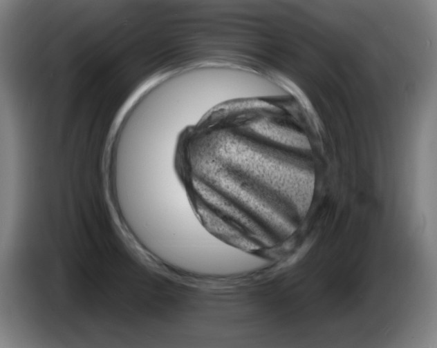 X0000085291138200703301932