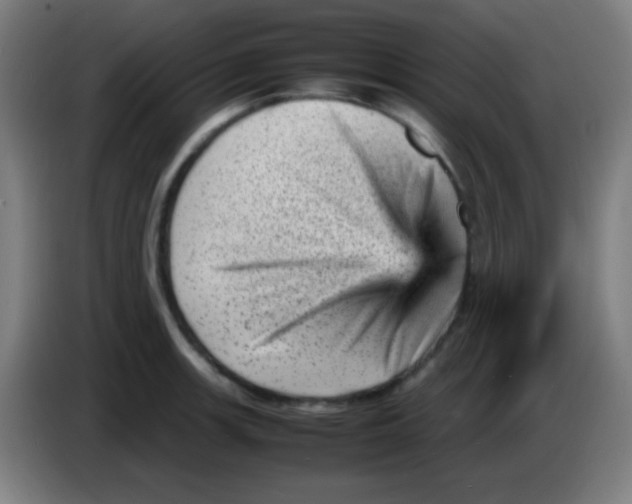X0000085291139200703301932