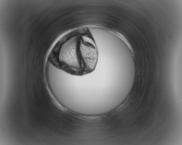 X0000085291140200703301932